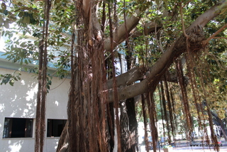 Villa Mazzini Messina